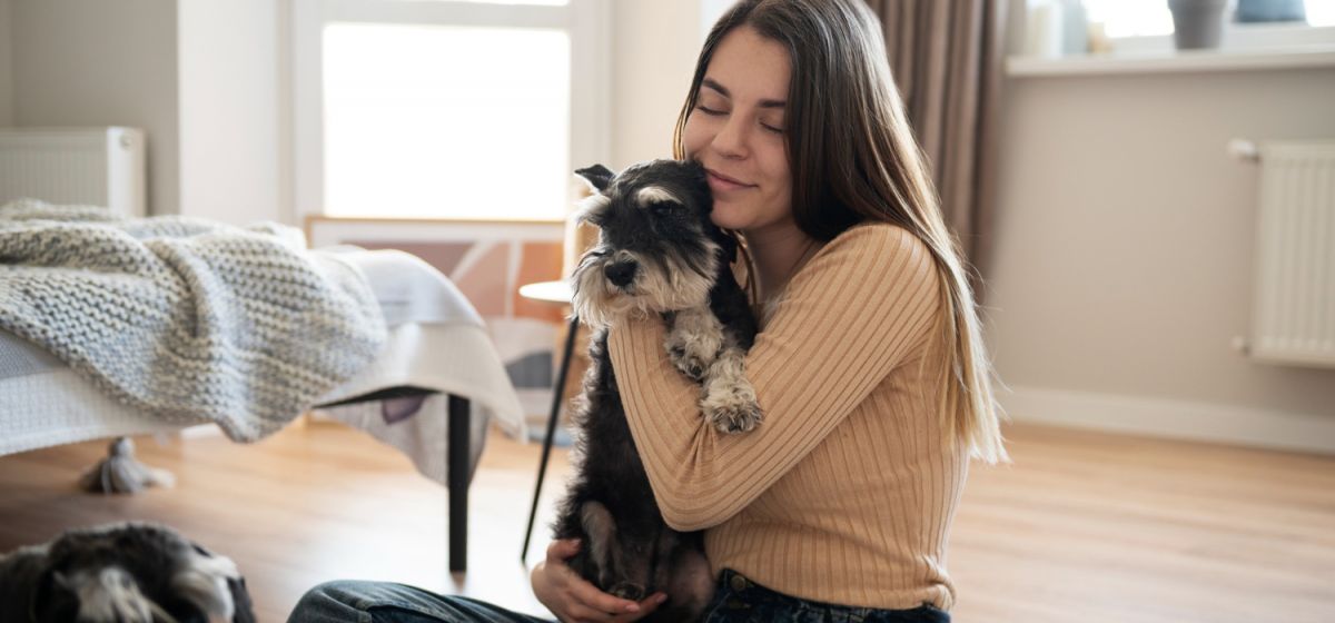 Pet sitter: onde anunciar gratuitamente e atrair tutores de pets na sua cidade