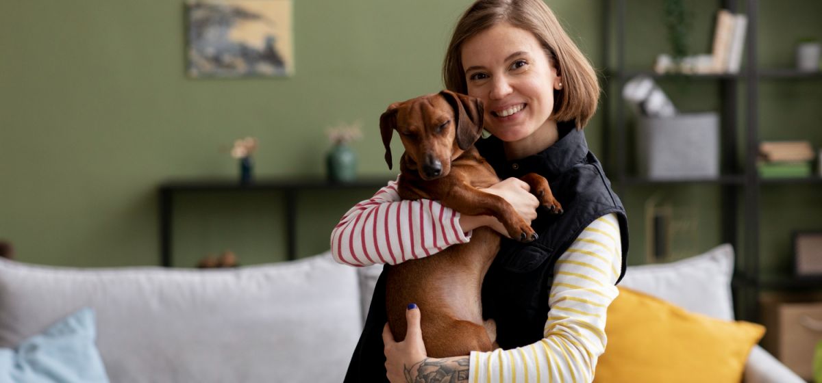 Pet sitter: como aparecer nas buscas da sua cidade com divulgação gratuita