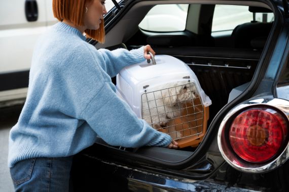 Como Transportar Seu Pet no Carro com Segurança e Conforto